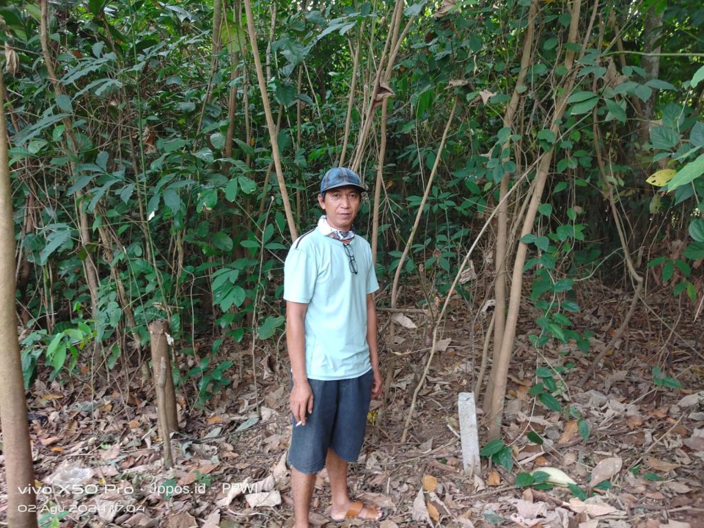 IMG-20240802-WA0033
